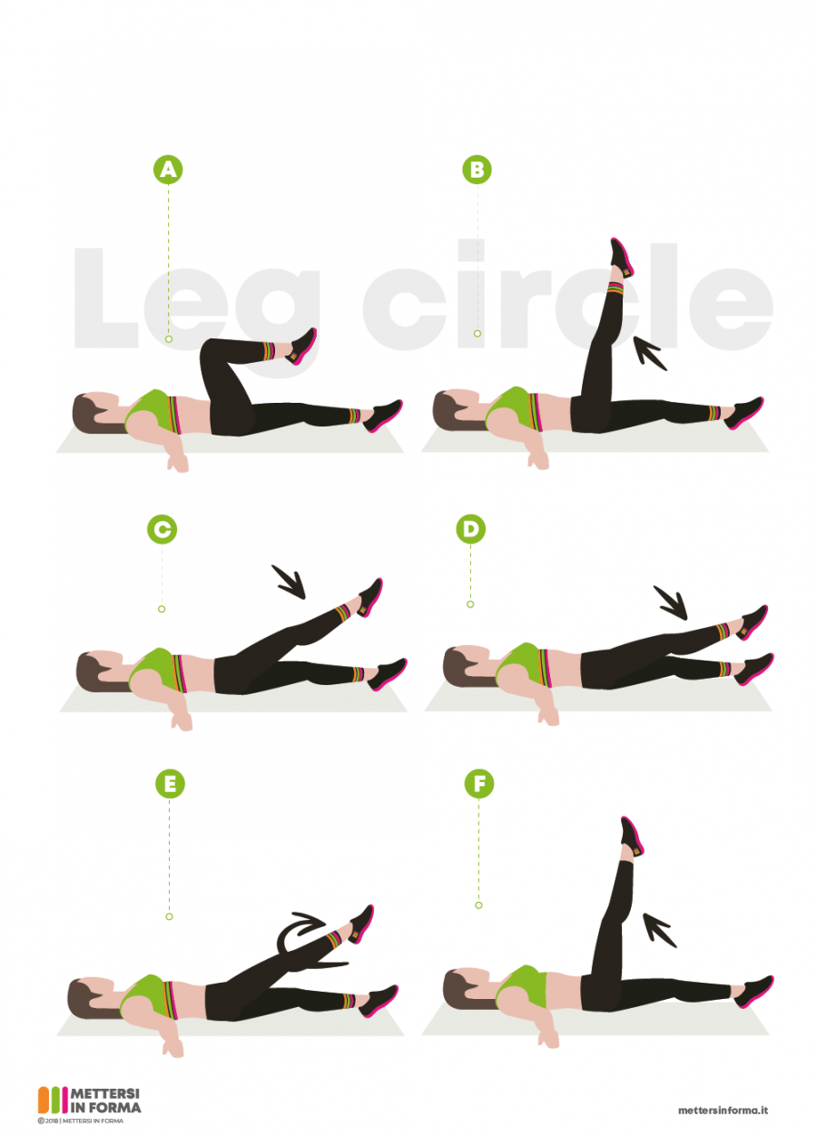 infografica leg circle