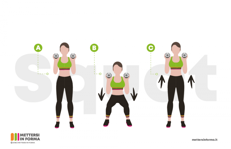 infografica sumo squat